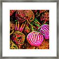 Chioggia Beets Framed Print