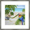 Christmas In Paridise Pelican Macaw Framed Print