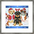 Christmas Pups Framed Print