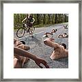 Close Encounter Of The Swimming Kind Framed Print