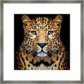 Close-up Leopard Portrait On Dark Framed Print