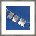 Clothes In The Sun Framed Print