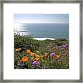 Coastal Bouquet Framed Print