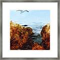 Coastal Flight Framed Print