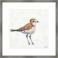 Coastal Plover Iii Linen Framed Print