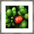 Coffee Beans In Natural From Coffee Framed Print