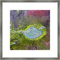 Color Palette -- Aerial View Of A Small Crator Lake Framed Print