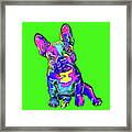 Colorful French Bulldog On Green Framed Print