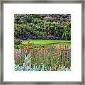 Colorful Kirstenbosch Gardens Framed Print