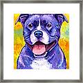 Peppy Purple Pitbull Terrier Dog Framed Print