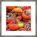Colorful Pumpkins Framed Print
