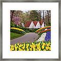 Colorful Stripes Of Keukenhof Garden Framed Print