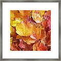 Colors Of Fall - Yellow To Red Framed Print