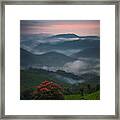 Colours Of Paradise Framed Print