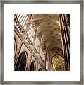 Columns At St. Vitus Cathedral Framed Print
