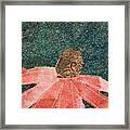 Cone Flower Framed Print