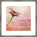 Congratulations Monarch Butterfly Framed Print