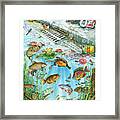 Conservation Clean Water Framed Print