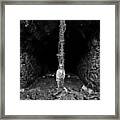 Contact Point Framed Print