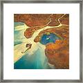 Contrast In Autumn Framed Print