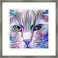 Cool Blue Cat Framed Print