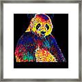 Cool Panda Little Bear Australia Animal Color Design Framed Print