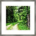 Country Curves Framed Print
