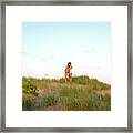 Couple Embracing While Standing On Beach Against Sky Framed Print