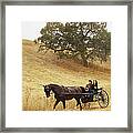 Couple Riding In Horse-drawn Carriage Framed Print