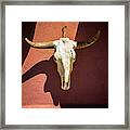 Cow Skull Framed Print