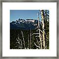 Cowlitz Chimneys And Snags In Mount Rainier National Park Framed Print