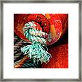 Crab Pot Buoy Detail Framed Print