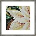 Cream Poinsettia Framed Print