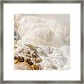 Creation Framed Print