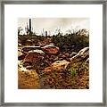 Creek And The Catalinas In Snow Framed Print