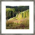 Crested Butte Colorado Fall Colors Panorama - 2 Framed Print