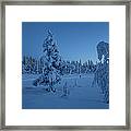 Cross Country Skiing In The Moonlight Framed Print