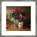 Cyclomen Flower Pot And Cup With Strips Framed Print