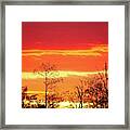 Cypress Swamp Sunset 5 Framed Print
