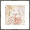 Dahlia Beauties 2 Framed Print