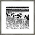 Daily Routine Framed Print