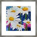 Daisies In Navy Framed Print