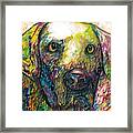 Daisy The Dog Framed Print