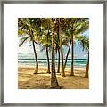 Dancing In The Breeze Framed Print