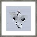 Dancing In The Snow. Framed Print
