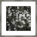 Dandelion Dots Framed Print