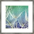 Dandelion Seed Framed Print