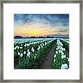 Dawns Early Light Framed Print