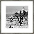 Dead Tree, Yellowstone Framed Print