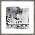 Dead Trees On Hot Springs Framed Print